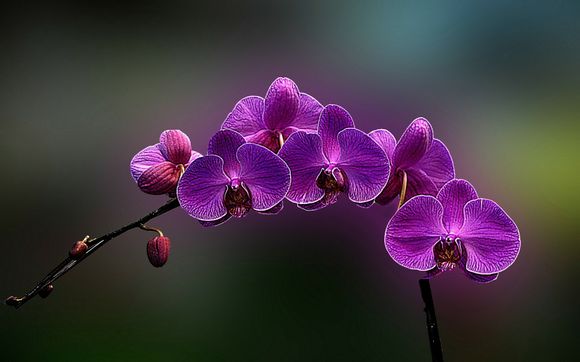 天龙八部2013