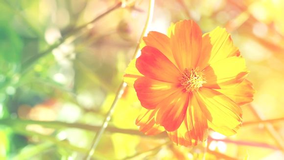 qq克隆好友