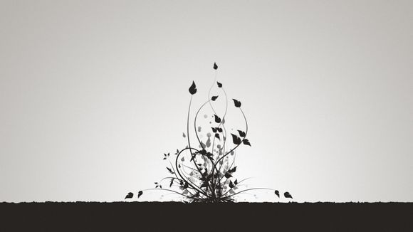 电脑打不开u盘