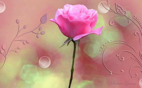 本地计算机上的apple mobile device